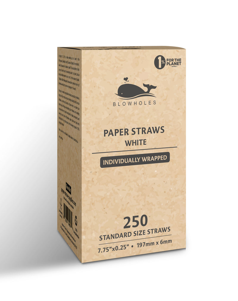The Return of the Paper Straw – Rialto Food and Packaging